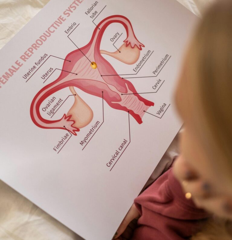 Lire la suite à propos de l’article PMA pour femme seule : le guide pour comprendre sans subir.